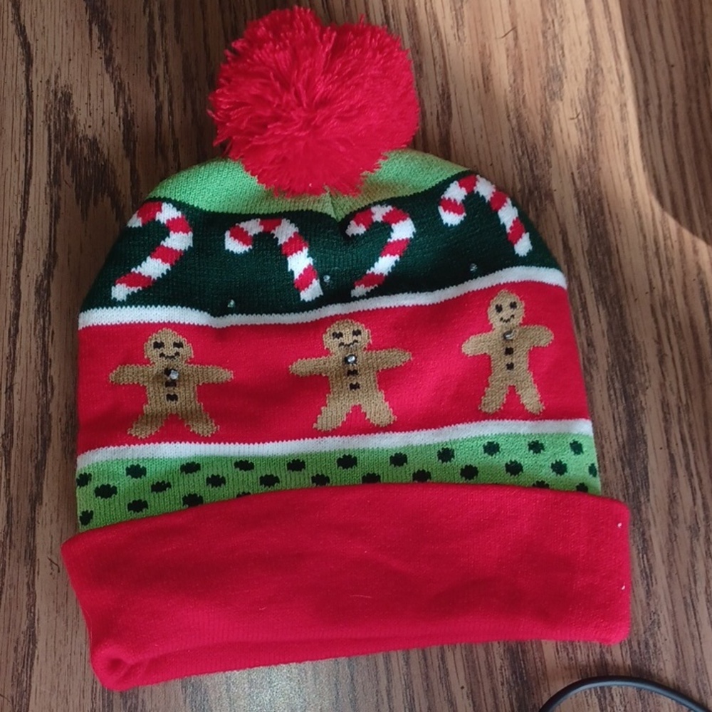 IGLOOS Holiday lighted cuff cap.